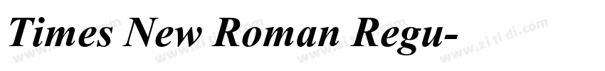 Times New Roman Regu字体转换